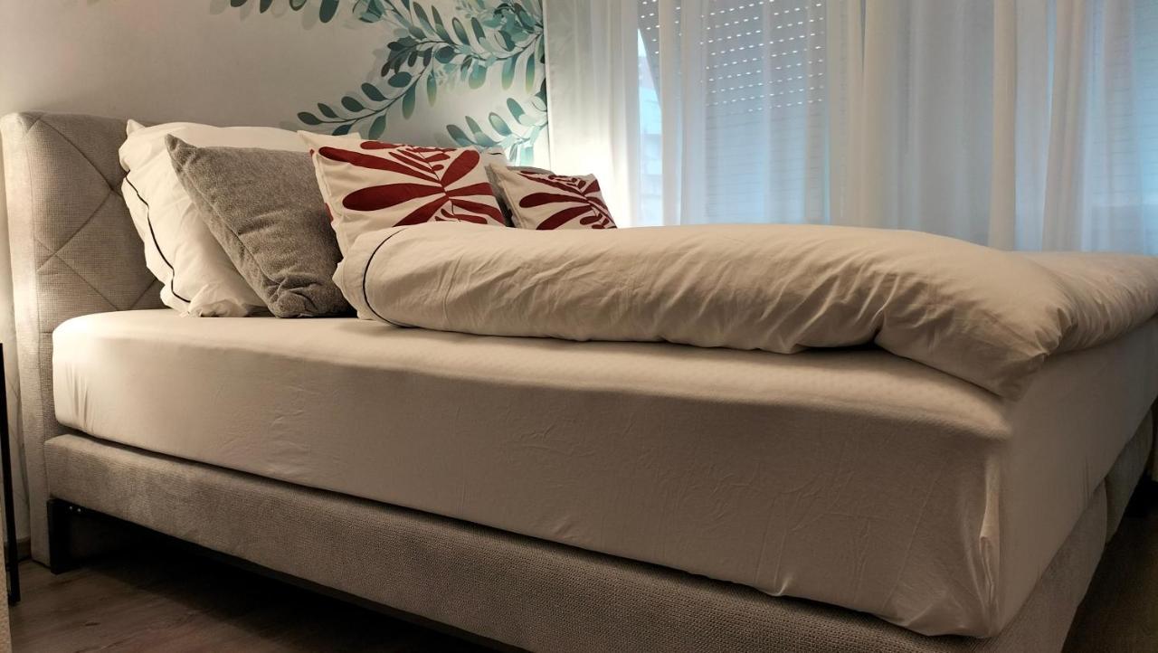 サン・ルイKing Bed 4 People Near Basel, Switzerland, Weil Am Rhein, Loerrach, Germ'Any, Near Airportアパートメント エクステリア 写真